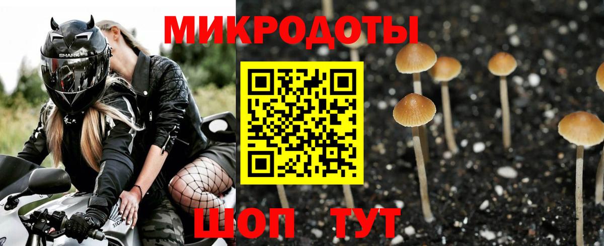 Коммунар  Галлюциногенные грибы прущие грибы  купить   Вход с VPN 