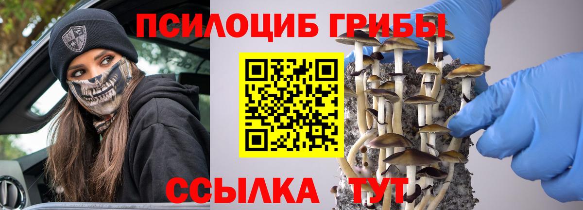 Галлюциногенные грибы прущие грибы Коммунар